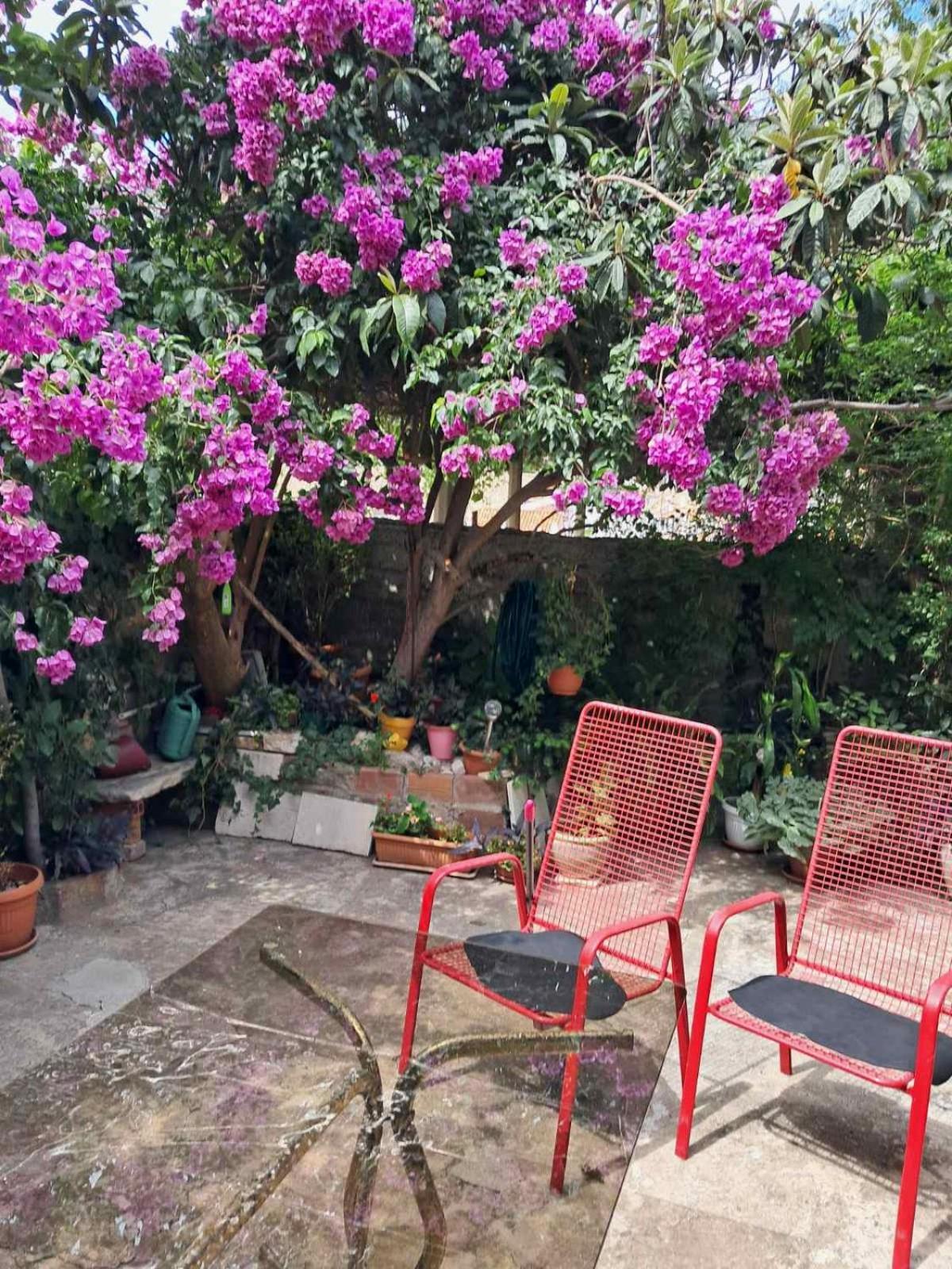 Old Town Green Oasis House Dubrovnik Bagian luar foto